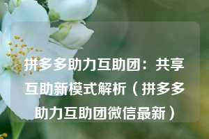 拼多多助力互助团：共享互助新模式解析（拼多多助力互助团微信最新）  第1张