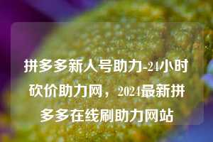 拼多多新人号助力-24小时砍价助力网，2024最新拼多多在线刷助力网站  第1张