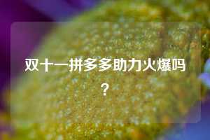 双十一拼多多助力火爆吗？  拼多多助力 拼多多推金币 拼多多推金币助力 拼多多助力平台 拼多多助力项目 拼多多助力网站 赚钱项目 暑假赚钱项目 拼多多赚钱 第1张